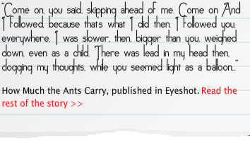How Much the Ants Carry, Eyeshot
